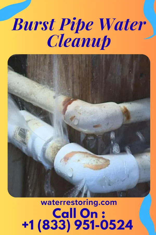 Burst Pipe Water Cleanup in Carlisle Barracks, PA