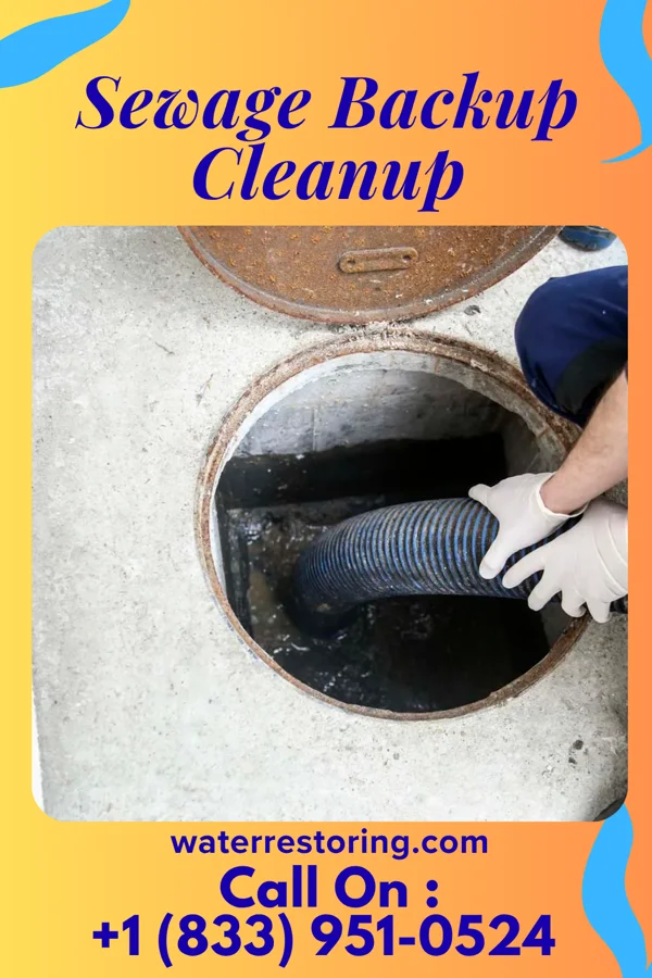 Sewage Backup Cleanup in Carlisle Barracks, PA